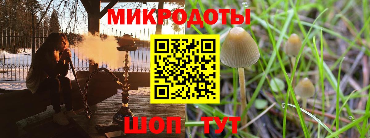 купить наркотики сайты  Галлюциногенные грибы прущие грибы  Минусинск  Вход с VPN  Галлюциногенные грибы GOLDEN TEACHER 